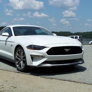 Mustang 6.JPG