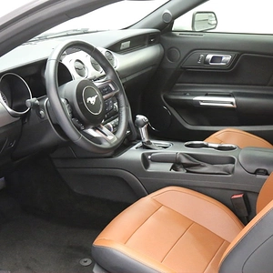 Mustang 7.jpg