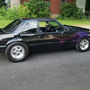 Mustang 3.jpg