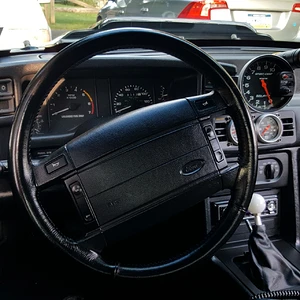Mustang 5.jpg
