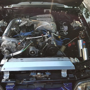 Mustang 6.jpg