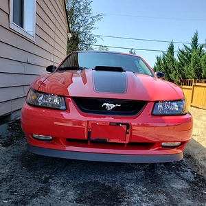 20190815_141203_resized.jpg