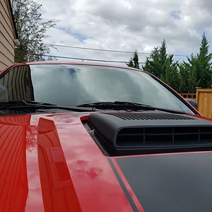 20190817_140236.jpg