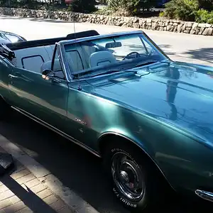 Camaro&Cobra.jpg