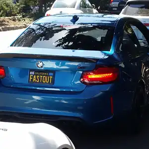 M2(2).jpg