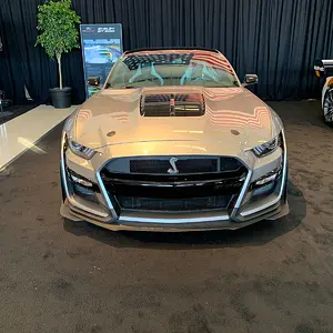 NewGT500(1).jpg