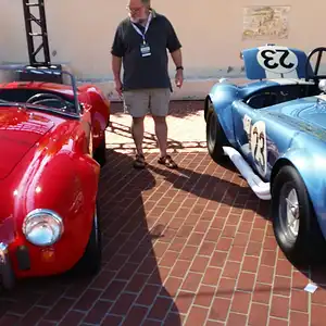 Sotheby'sCobras1.jpg