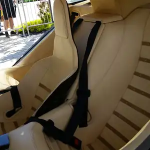 Sotheby'sMcLarenF1(06).jpg