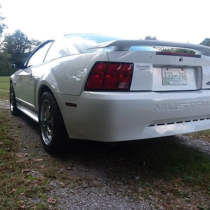 20181006_145739.jpg