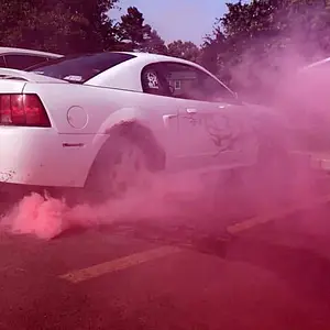 Pink Mustang