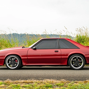 1592433934cf0cb8ac9MMcKinnon_91Mustang-04145_Sml.jpg