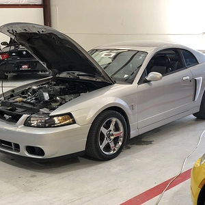 2003 SVT Cobra Terminator (current ride)