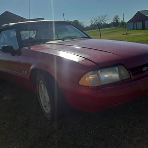 20201119_122429.jpg