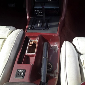 20201105_104604.jpg