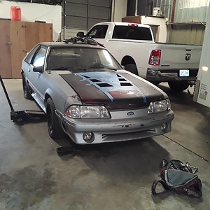 20200509_153141.jpg