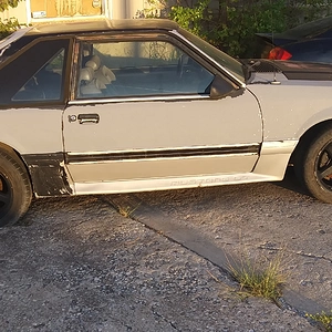 20190917_075147.jpg