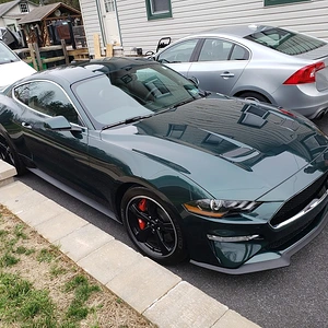 2019 Bullitt - Passengers Side.jpg