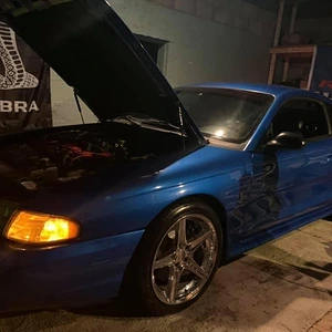 Cobra