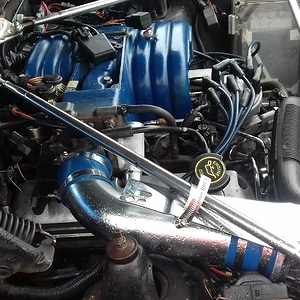 20210625_161708.jpg