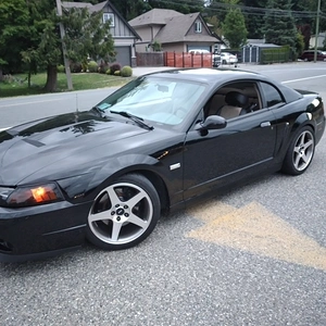 Media 'media.textnow.com.jpg' in album '2003 Centennial Mustang'