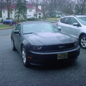 Stang January 2016.JPG