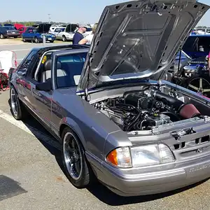 SilverTerminator2.jpg