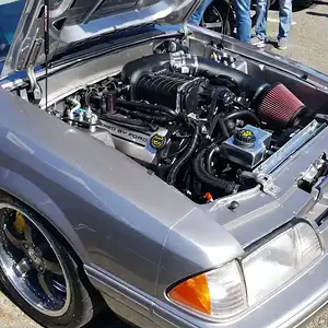 SilverTerminator3.jpg