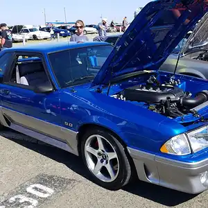 BlueGtYote01.jpg