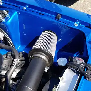 BlueGtYote02.jpg