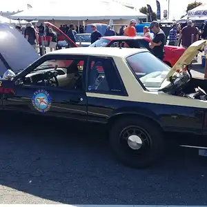 FHP01.jpg