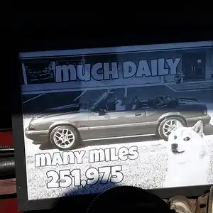 TheDaily2.jpg