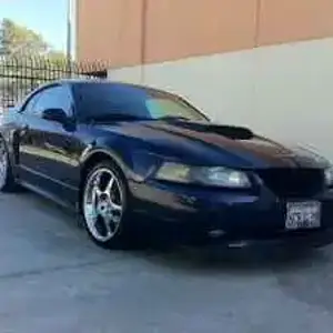 Imported Item