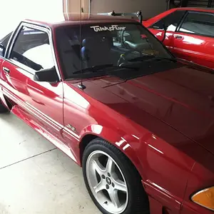 No Window Stickers!